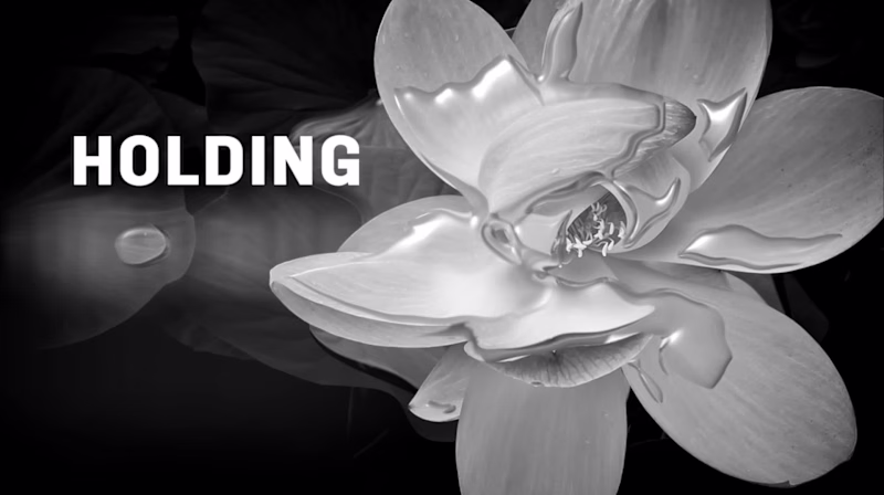 Cover image for "Holding the Space"  Animated