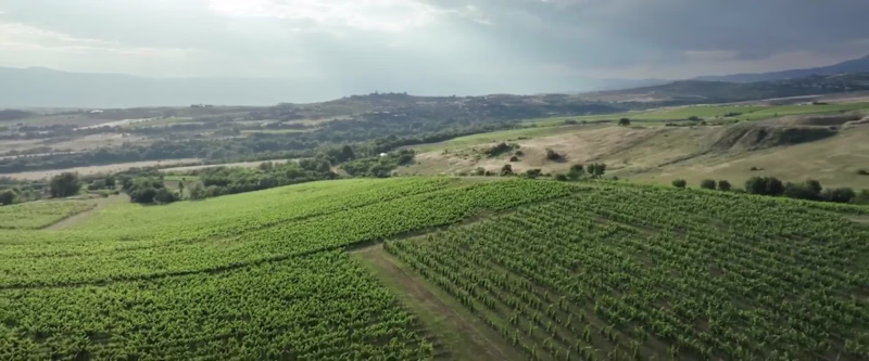 Cover image for Corporate Showreel 2024