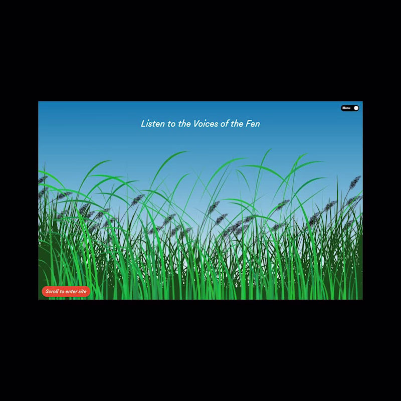 Cover image for Listen to the Voices of the Fen