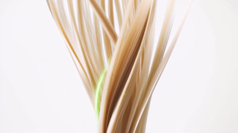 Cover image for How do you make scent