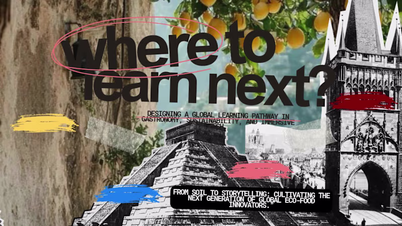 Cover image for Italy as a Learning Hub