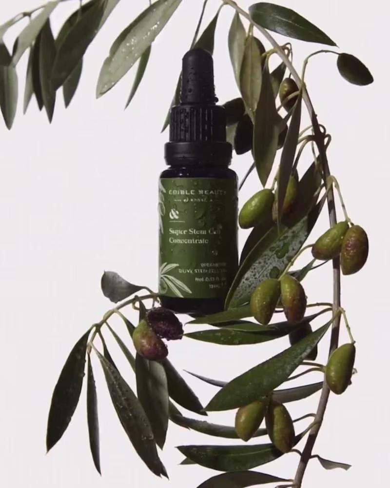 Cover image for Beauty Packaging Design