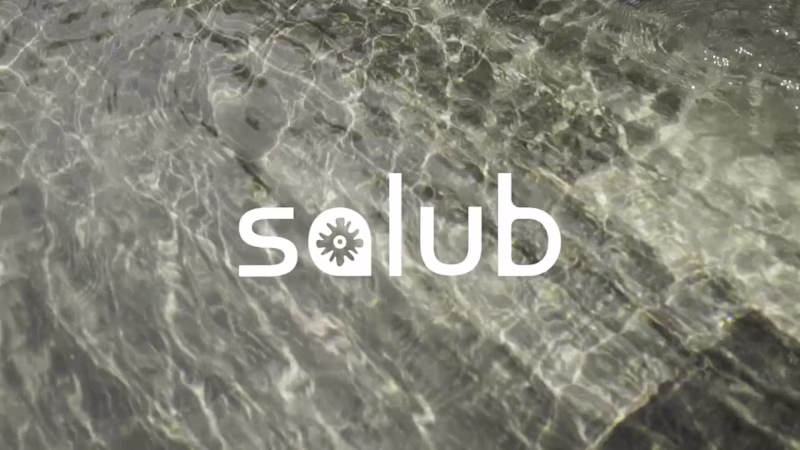 Cover image for Salub Wellness Spa Brand Design Project