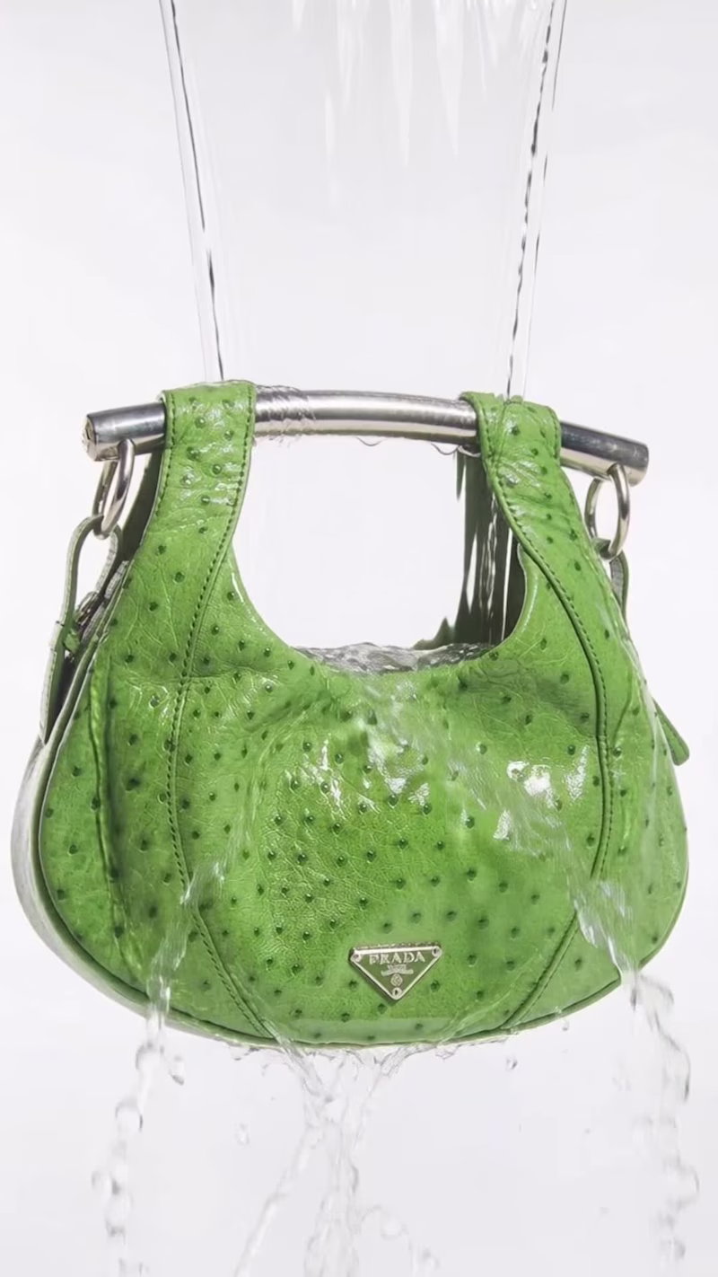 Cover image for Ripple Ostrich Leather Hobo Campaign