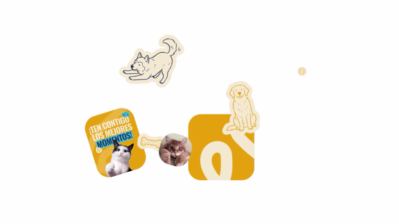 Cover image for Dalu is a personalized pet