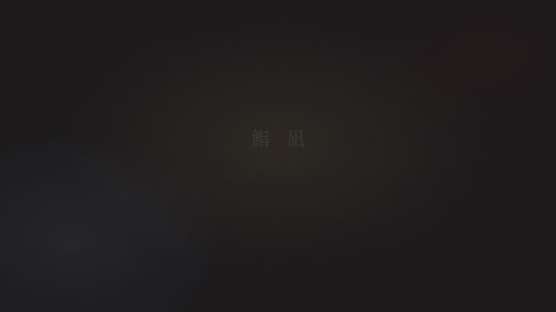 Cover image for Sushi Nagi  fourteen sections,