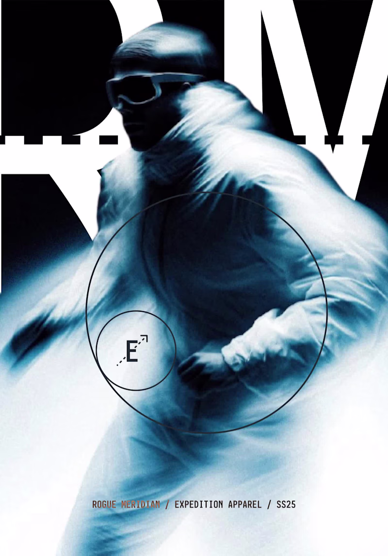 Cover image for Rogue Meridian Brand Identity Project