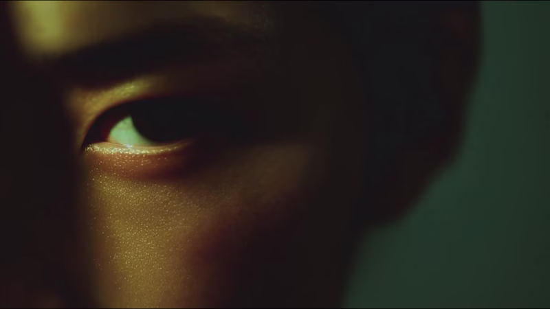 Cover image for L'Iberanche