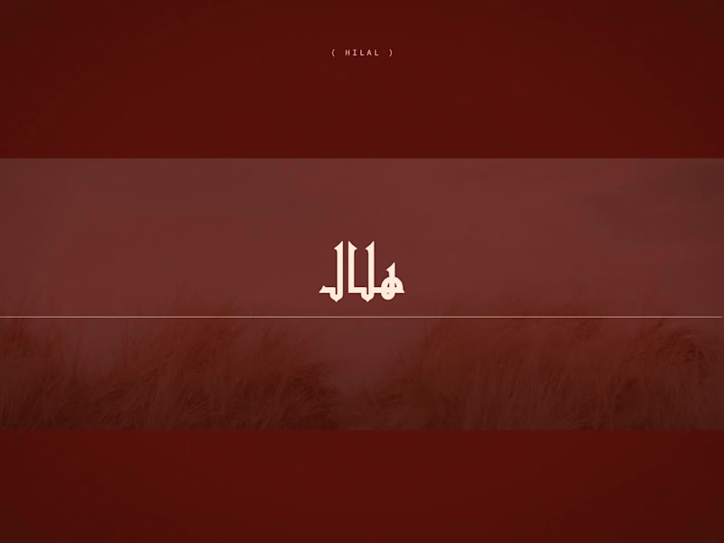 Cover image for Hilal — Brand Identity & Website