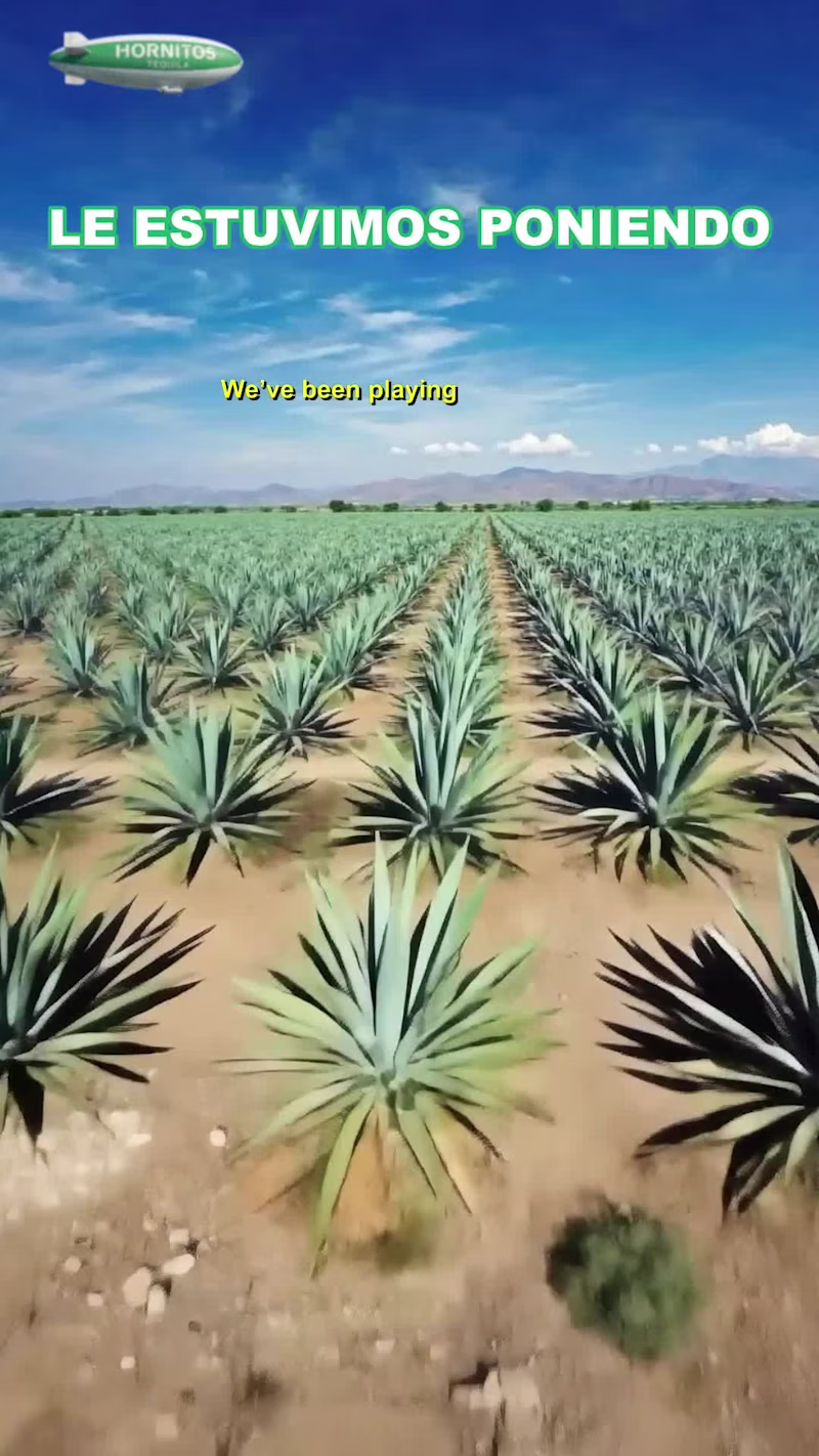 Cover image for Hornitos