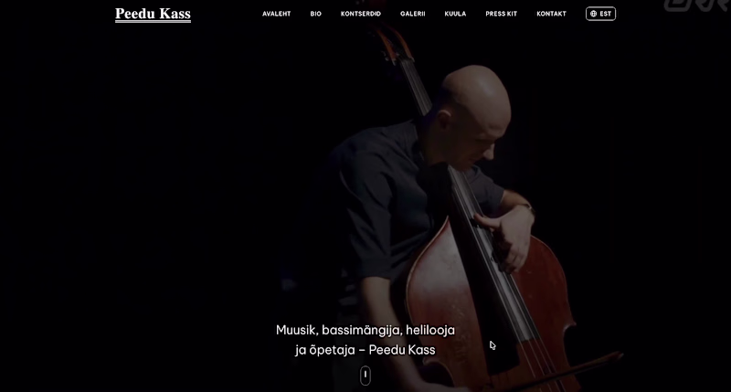 Cover image for Build a portfolio website with custom music player, CMS & CRM