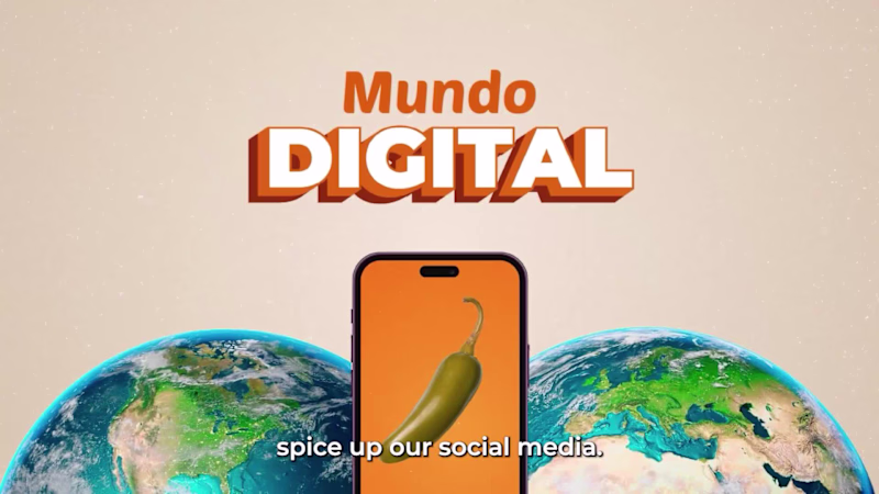 Cover image for Transforming LA MORENA® into a Social Content Powerhouse