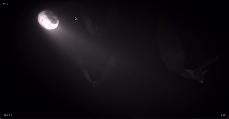Cover image for Bats — 3D Web Experience with AR Mode (WebGPU/TSL/XR)