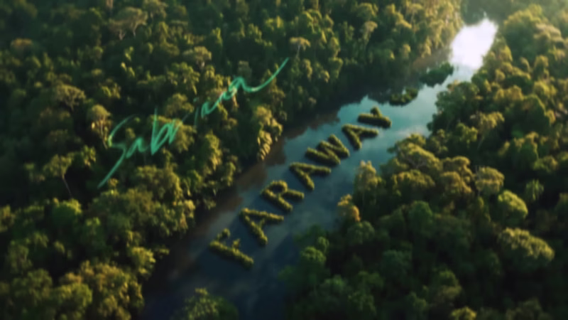 Cover image for Music and video clip for