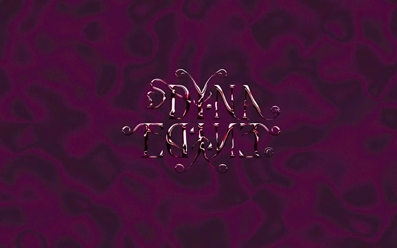 Cover image for Dyna Edyne | Visual Identity