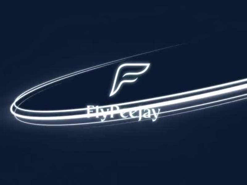 Cover image for FlyPeejay Branding Identity