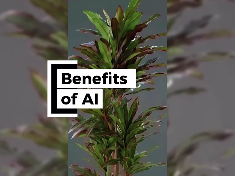 Cover image for Social Content