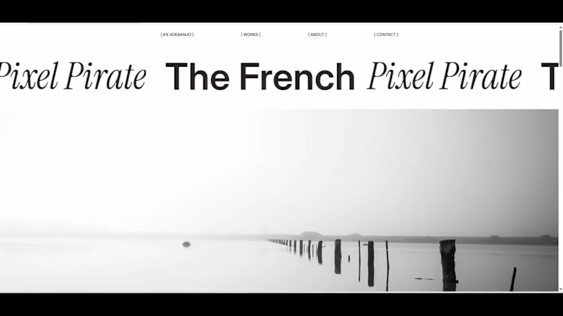 Cover image for The French Pixel Pirate