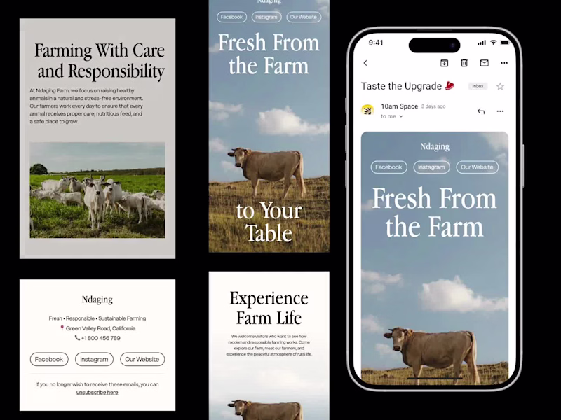 Cover image for Explore Our Premium Farm Brand Email Design with Animation