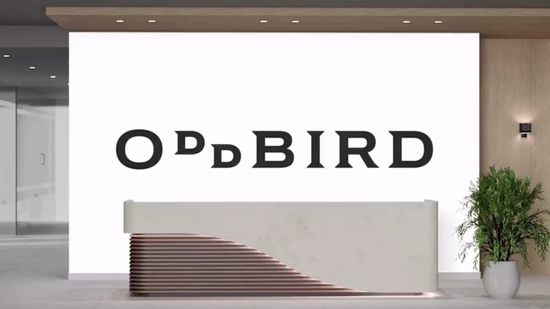 Cover image for Oddbird is not just a