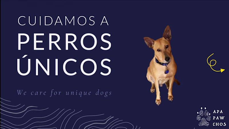 Cover image for Simple video presentation for APAPAWCHOS,