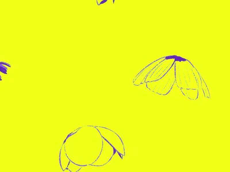 Cover image for Flow