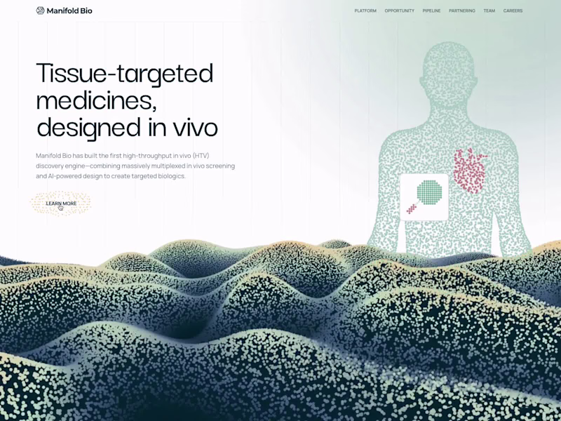 Cover image for Manifold | Webflow Development