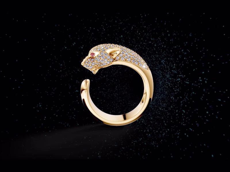 Cover image for Panther ring brought to life