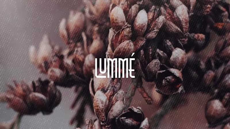 Cover image for Human by Design, LUMMÉ.
I didn’t