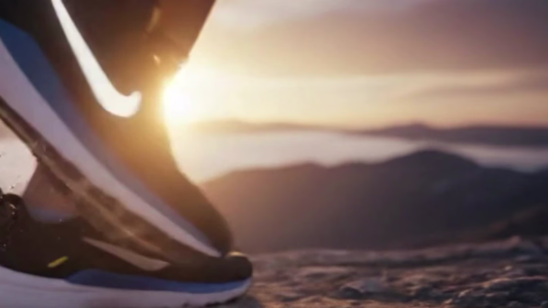 Cover image for Title: Nike: The Future of
