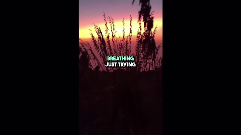 Cover image for Music Lyric Video