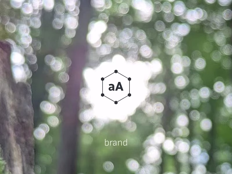 Cover image for Morr Design Brand Identity Creation