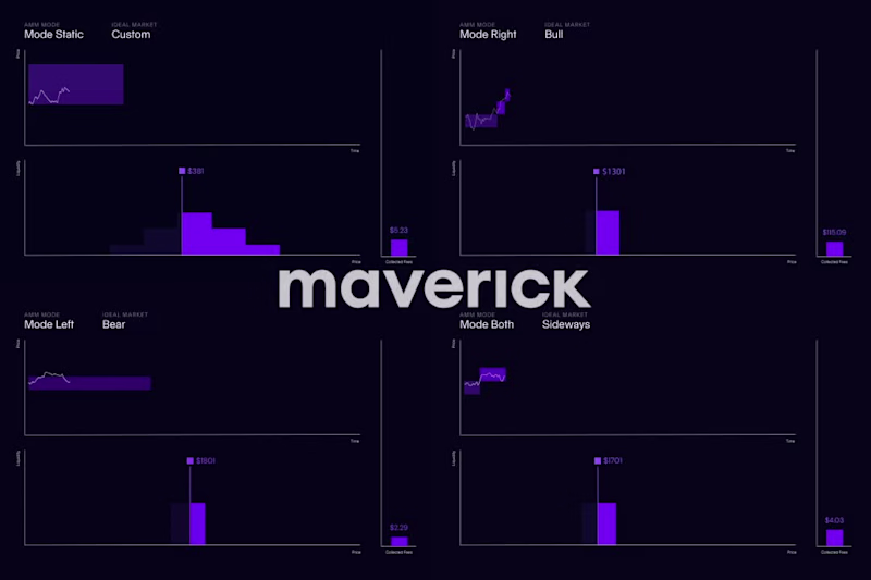 Cover image for MAVERICK Infographic Video Production