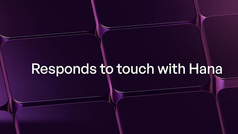 Cover image for second day with hana.
no setup