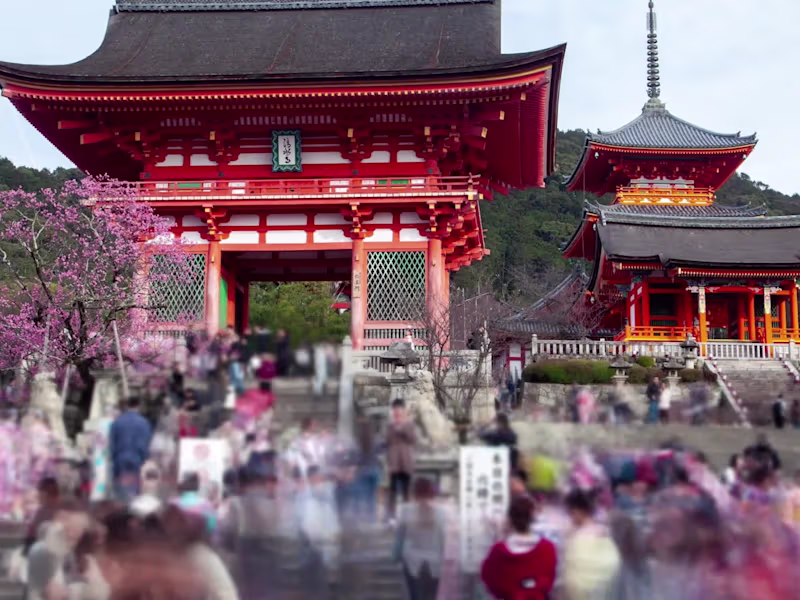 Cover image for Thank You Democracy - Video Editing