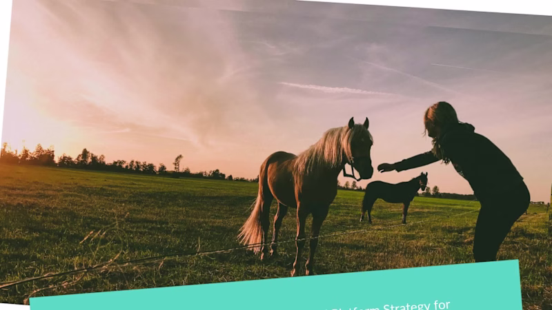 Cover image for Email & Content Strategy for Author