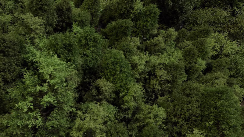 Cover image for Trying my best for photorealism in blender animation!