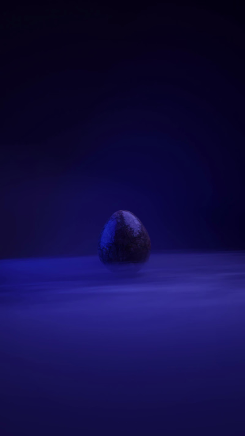 Cover image for Motion Graphics & Video Editing