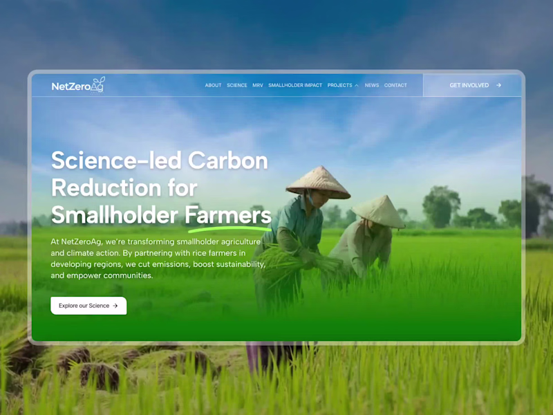Cover image for Redesign and Develop Website for Netzero AG
