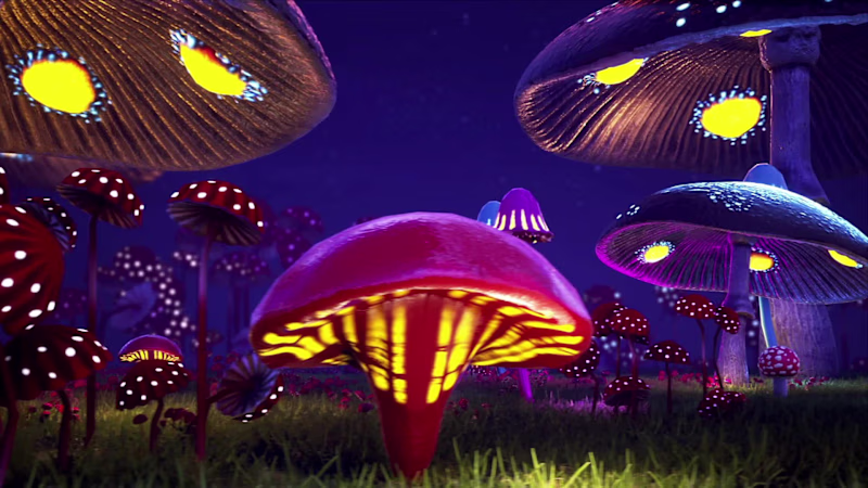 Cover image for A mushroom Garden for a