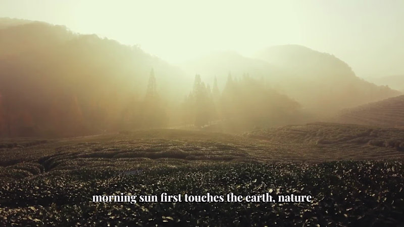 Cover image for An AI-crafted brand commercial celebrating