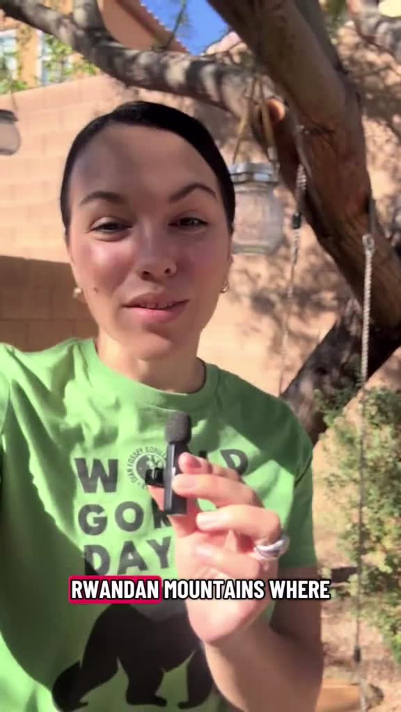 Cover image for I love working with brands on a mission to do good. Blending...