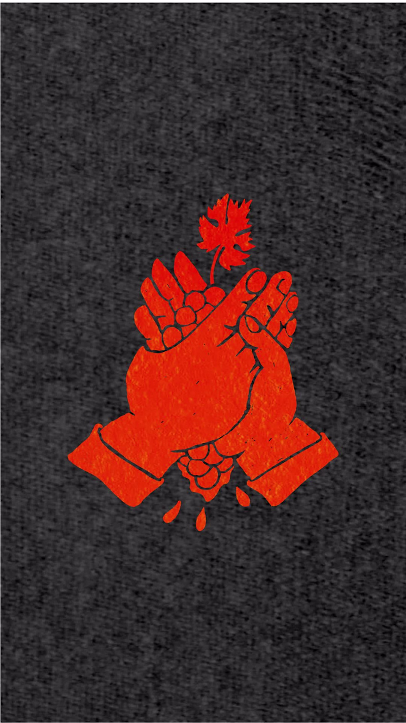 Cover image for Social Media Reels