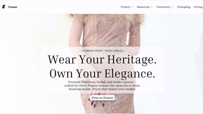 Cover image for framer project hero section