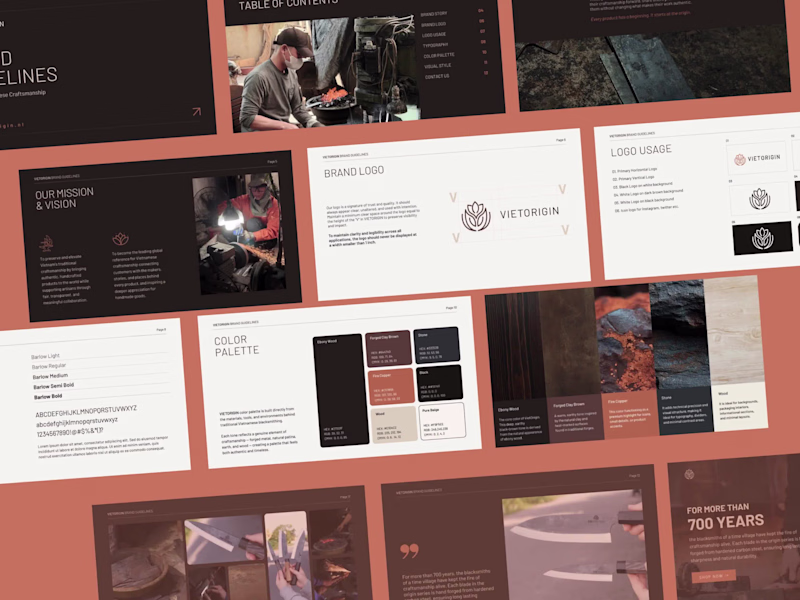 Cover image for Vietorigin — Brand Guidelines