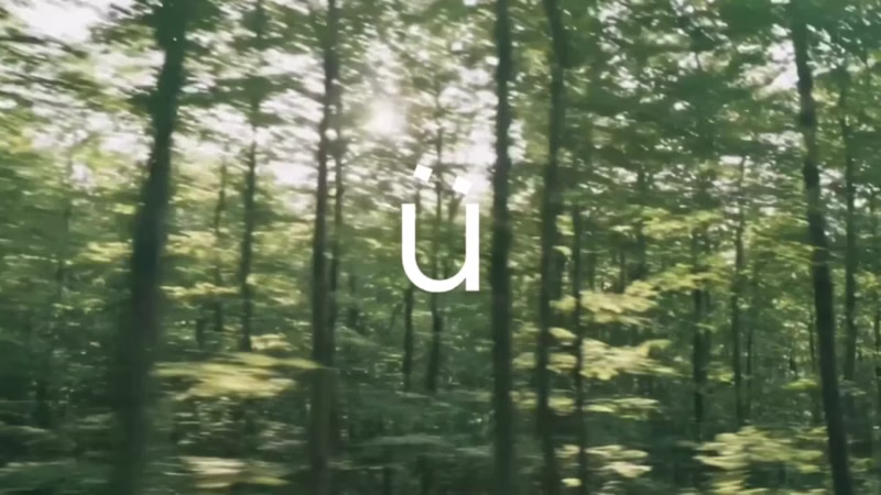 Cover image for Aisu Brand Identity 