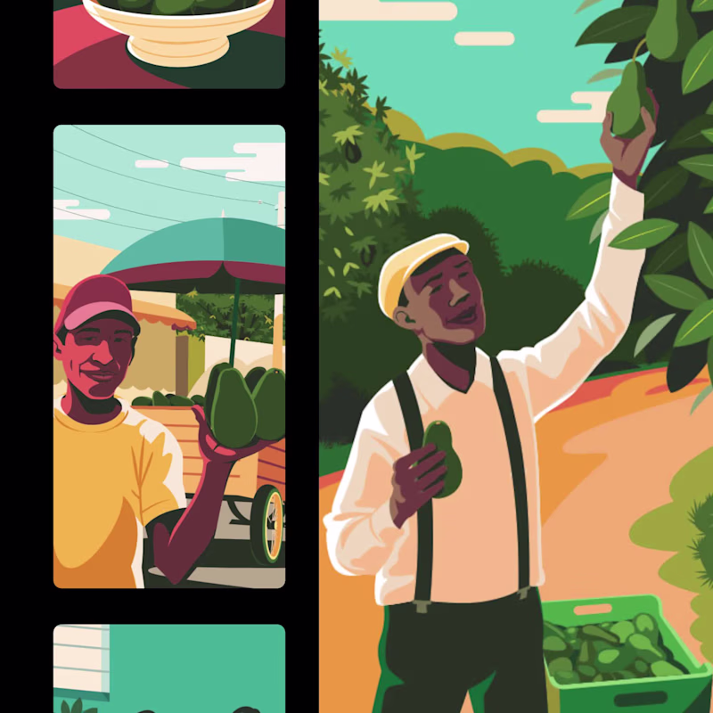 Cover image for Dominican avocados brand identity system