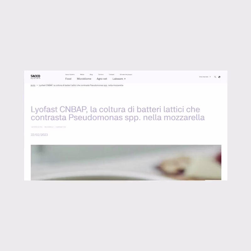 Cover image for Sacco System website