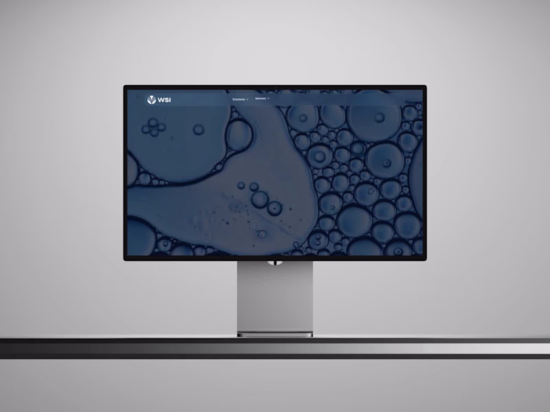 Cover image for WSI Website Design and Framer