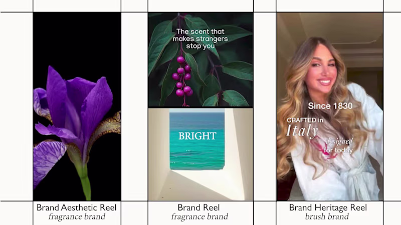 Cover image for Brand social reels designed to